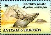 White Kitten with Green String