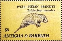 Musicians and Score for Rigoletto