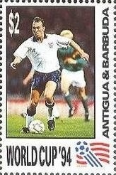 Northern Emerald-Toucanet (Aulacorhynchus prasinus)