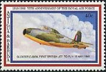 Spinner Dolphin (Stenella longirostris)