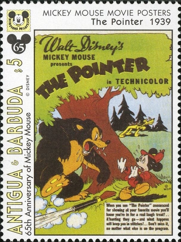 Phalaenopsis Medford Star