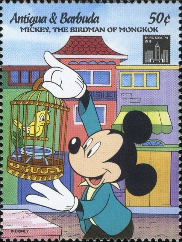 Leafwing Butterfly (Prepona xenagoras)