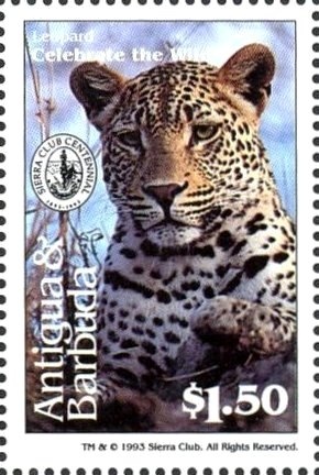 Rare stamps of the world - Hong Kong