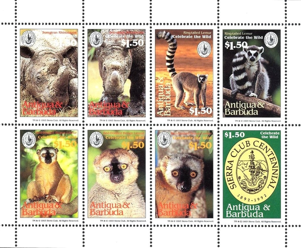 Columbus' Second Fleet, 1493