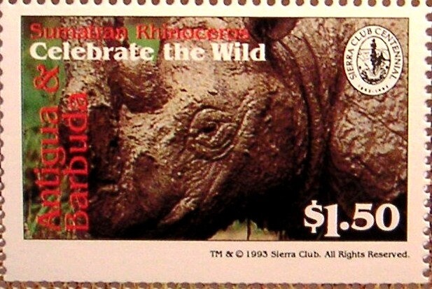 Warriors with Horses