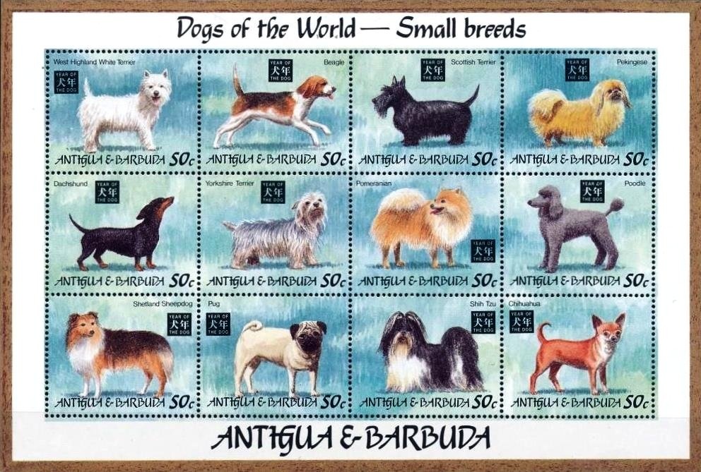 Journey into Imagination