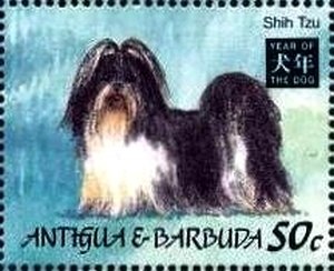 Charles Lindbergh Receives a Hero's Welcome, New York, 1927