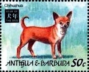 Chicago World's Fair from "Graf Zeppelin"