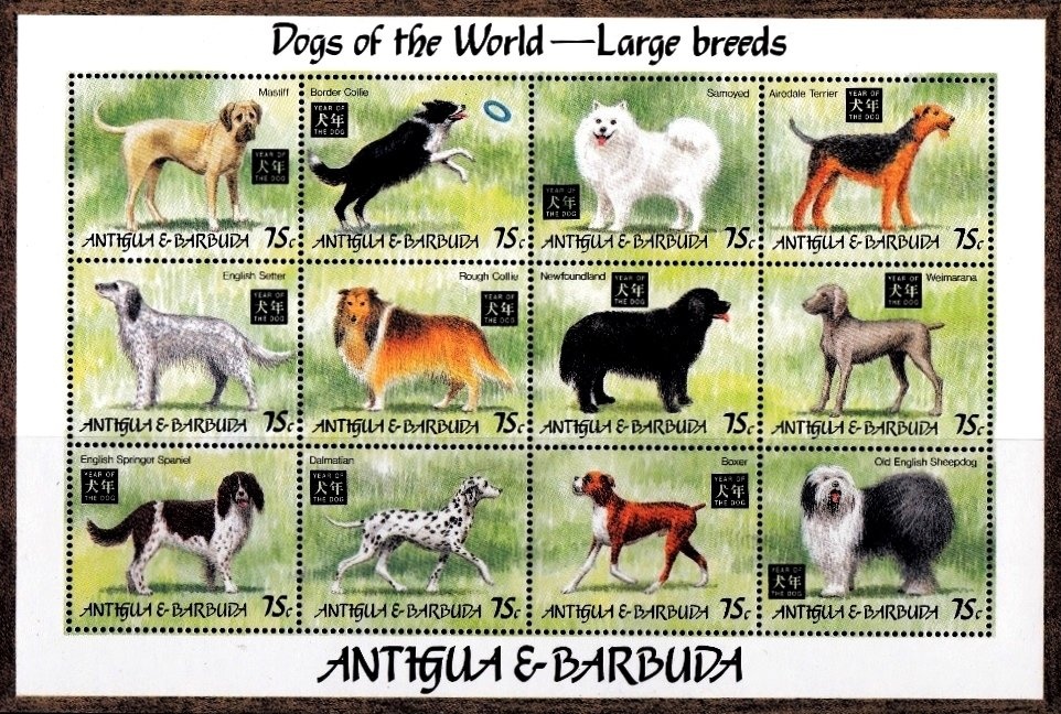 Mickey Mouse Playing Ukelele