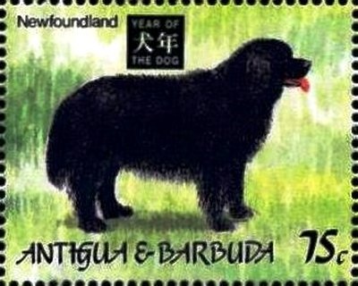 President Nixon with Apollo 11 Crew