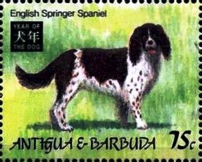 Child's Face and UNESCO Emblem