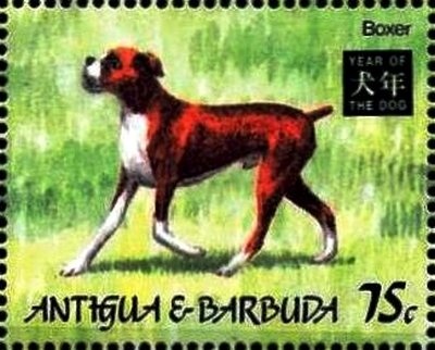 Ghost Brimstone (Anteos clorind)