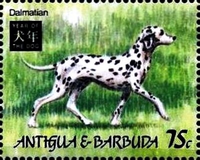 Reverend John A. Buckley (1st Minister of African descent)