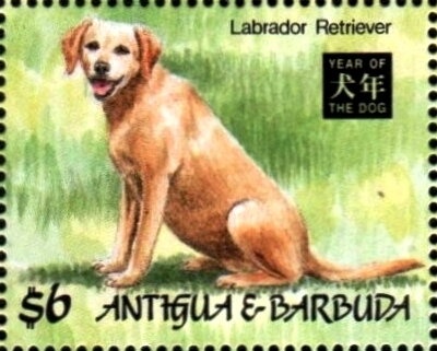 "Madonna and Child Enthroned" (Carlo Crivelli)