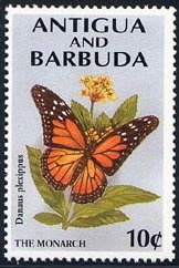 Diego Maradona, Argentina, 1986