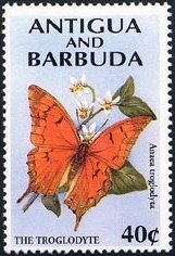 General Claire Chennault and US Fighter Aircraft