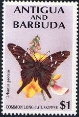 Archie Catching Baseball