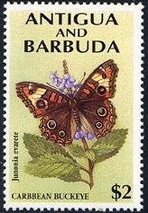 Miner's Tent - Overprinted