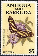 Two Kittens under Blanket