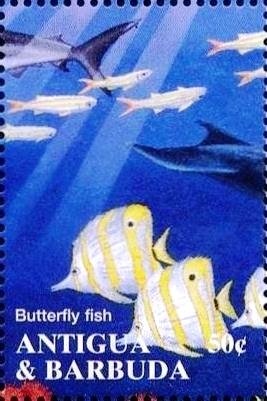 Orchid Tree (Bauhinia monandra) - Overprinted