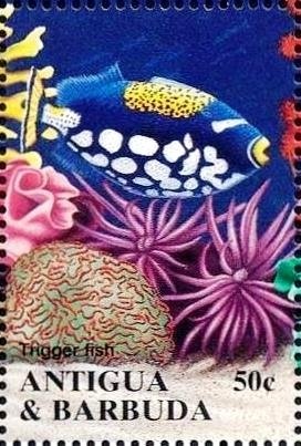 Mickey on "Nautilus"