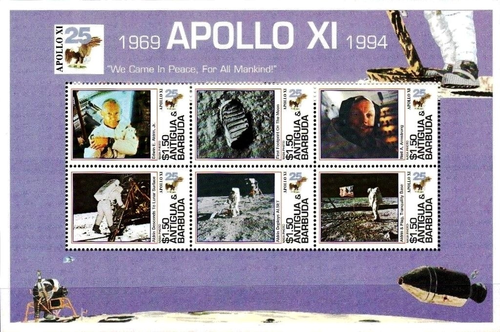 Leopard (Panthera pardus)