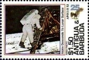 Brown Noddy (Anous stolidus)