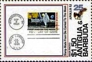 "Great Knot sitting among Water Grass"