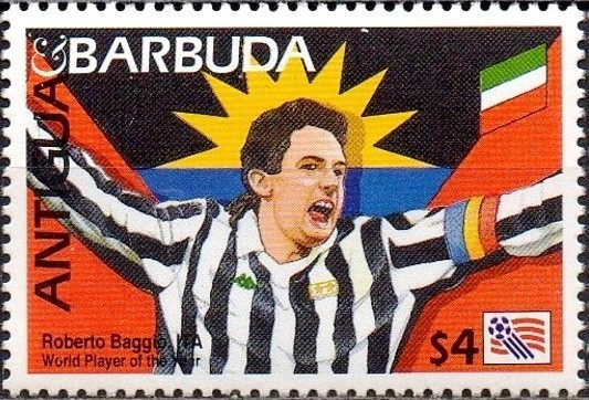 Ring-necked Duck (Aythya collaris)