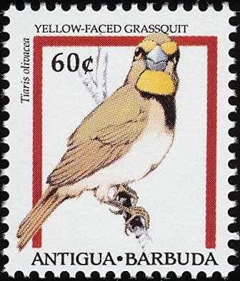 Karl-Heinz Rummenigge (Germany), Spain 1982