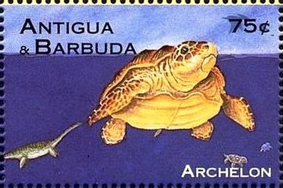 Mottled Leafwing (Polygrapha cyanea)