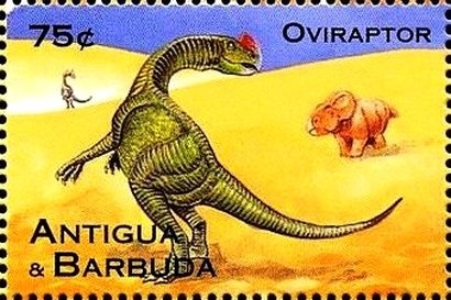 Green-throated Carib and Ornamental Banana