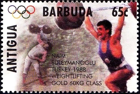 "Madonna Degali Alberelli" (Giovanni Bellini)