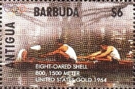 Jamaican Mestra (Mestra dorcas)