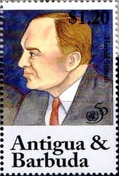 Cuban Solenodon (Solenodon cubanus)