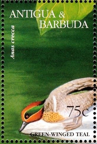 Shirley Temple the Little Princess