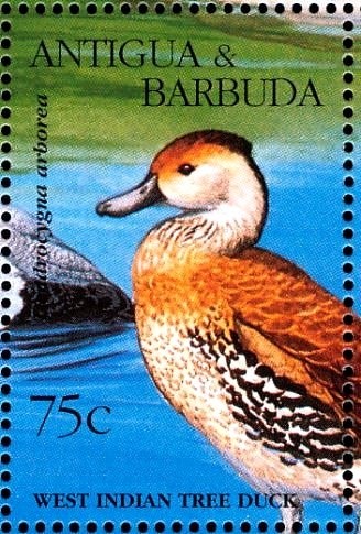 Rare stamps of the world - New Zealand