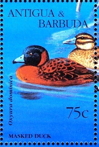 Orange-barred Sulphur (Phoebis philea)