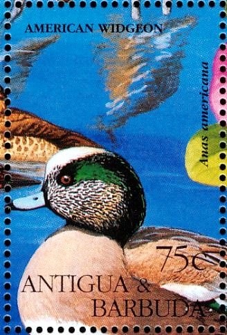 The Prince and Aurora´s Wedding