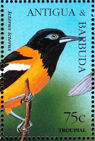 The Decade 1900-1910 (2)