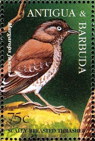 Hugo Sanchez, Mexico