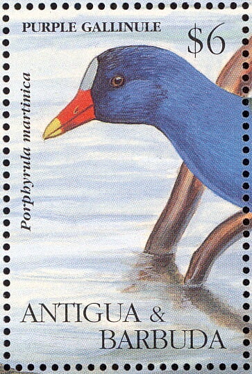 Queen Victoria (1819-1901) & Queen Elizabeth II (1926-2022)