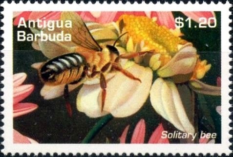 Princes William and Henry