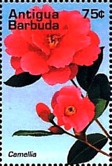 Privates, Clark's Illinois Regiment