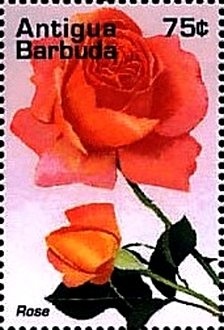 Formal Portrait of Queen Elizabeth II