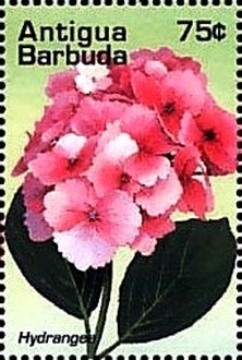 Endangered Animals of Antigua & Barbuda