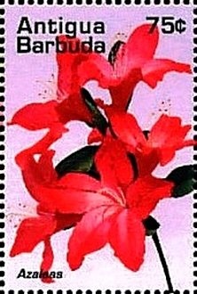 Queen Victoria (1819-1901) & Queen Elizabeth II (1926-2022)