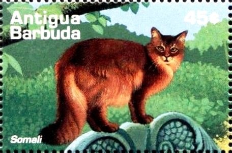 "Virgin and Child with Angels" (detail) (Grunewald)