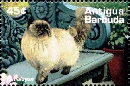 John Glenn Entering "Mercury" Capsule, 1962