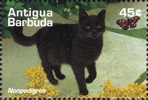 Scout with Camping Equipment - Overprinted